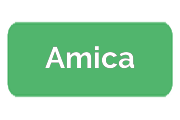 Ремонт холодильников Amica