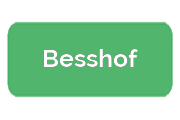 Ремонт сигвеев Besshof
