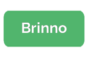 Ремонт экшен-камер Brinno