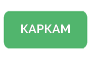 Ремонт экшен-камер КАРКАМ
