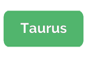 Ремонт парогенераторов Taurus