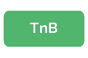 Ремонт экшен-камер TnB