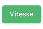 Ремонт парогенераторов Vitesse