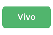 Ремонт Vivo